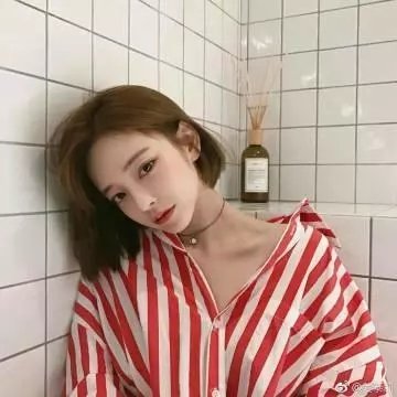 猫咪马汀